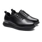 Oxford Perforé SH25
